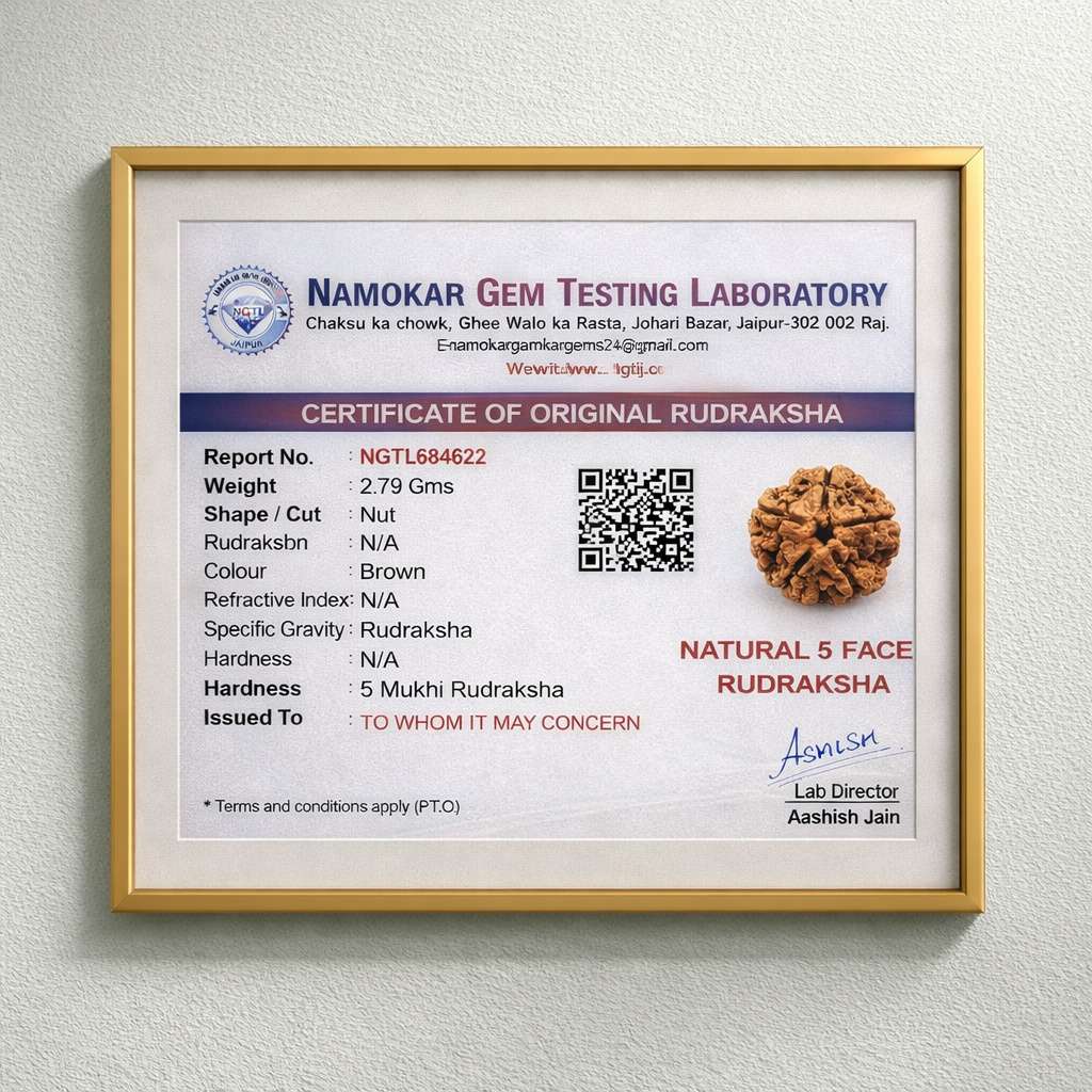 5 Mukhi Rudraksh