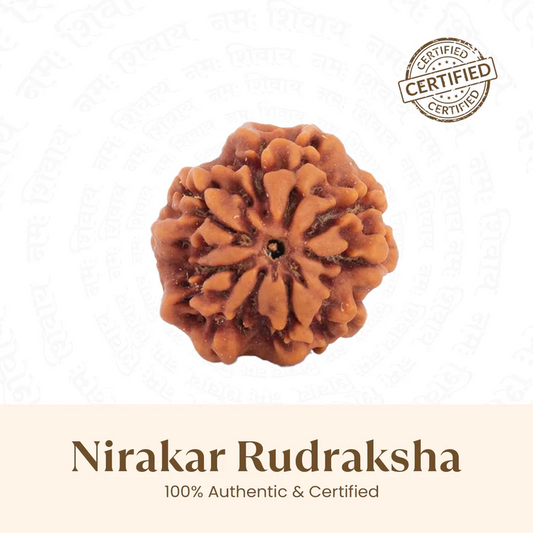 Nepal Origin 1 Mukhi Rudraksha - 18mm - 22mm