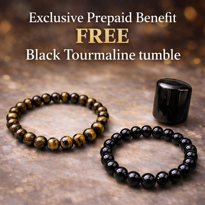 Fearless Shield – Black Tourmaline × Tiger Eye