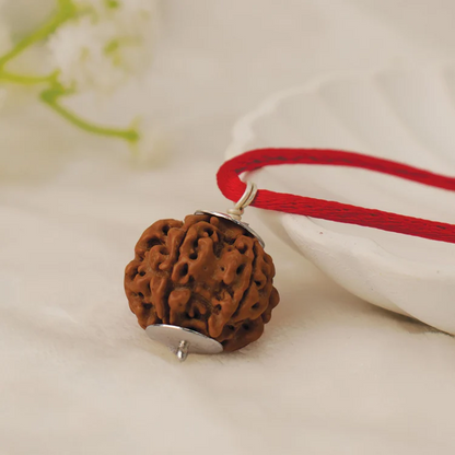 Nepal Origin 3 Mukhi Rudraksha - 18mm - 22mm