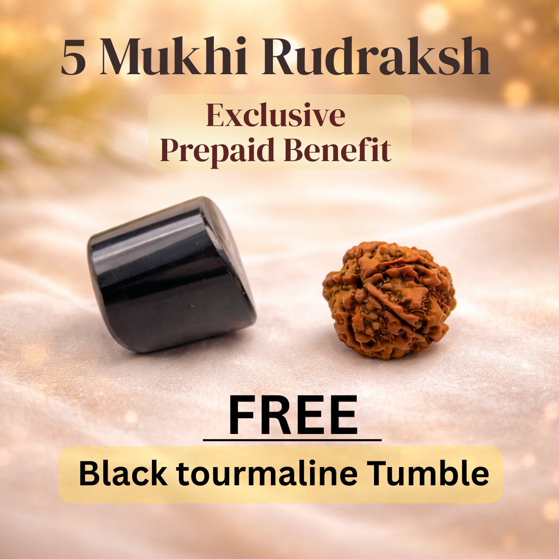5 Mukhi Rudraksh