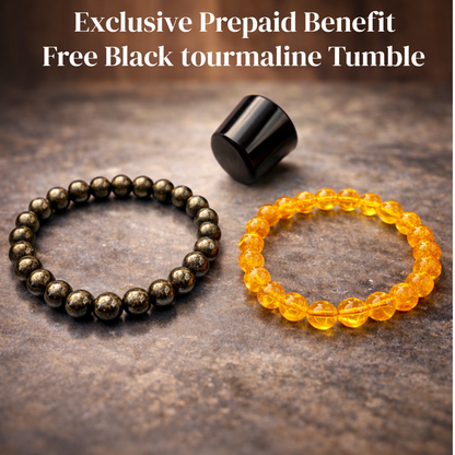 Prosperity Magnet – Pyrite × Citrine”